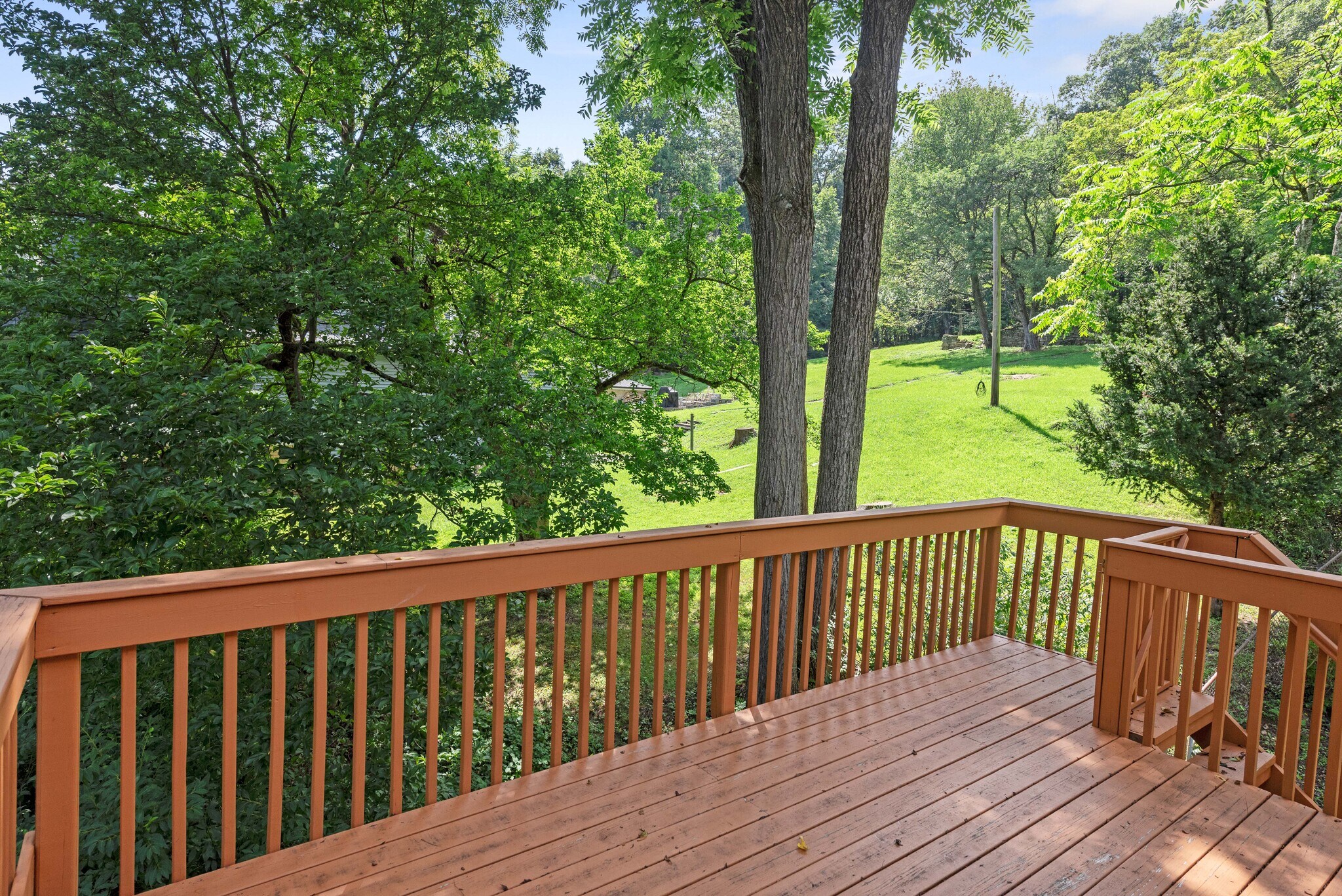 Backyard - 235 Prospect St
