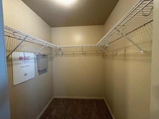 Building Photo - 3629 Vanguard Dr