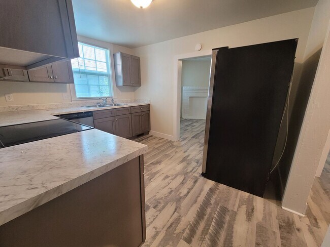Building Photo - Newly renovated 4 bed 2 bath home in the heart of Downtown Wilmington .