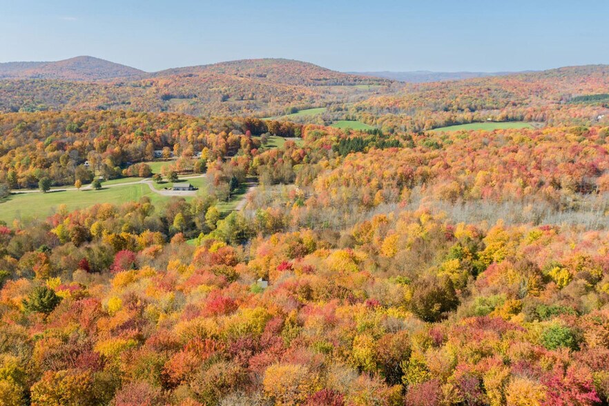 Building Photo - 941 Brush Hollow Rd