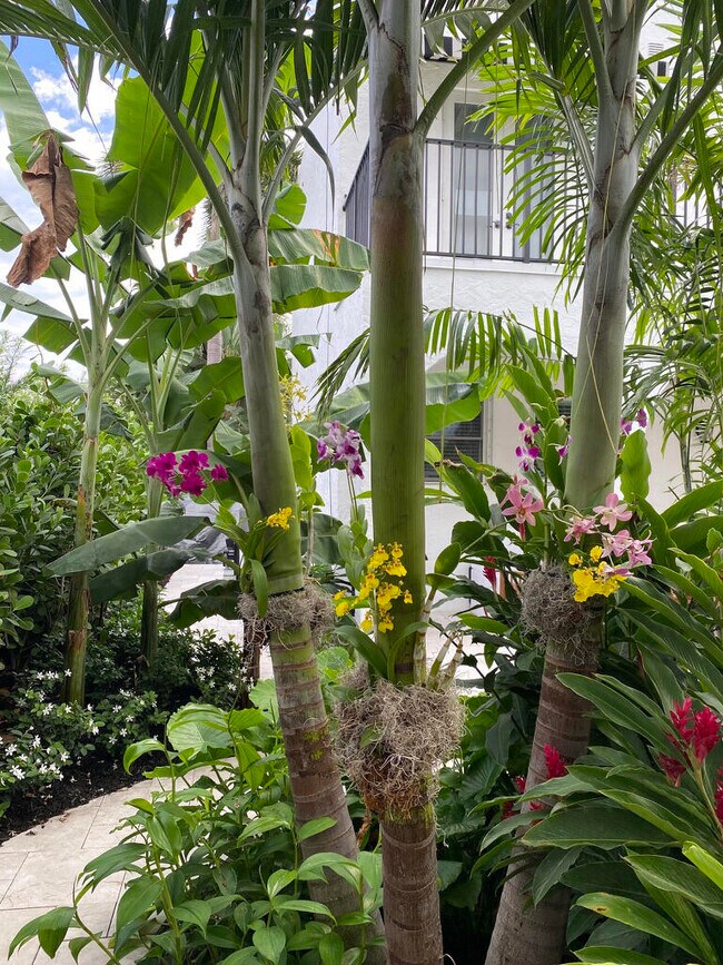 Building Photo - 634 SE 3rd Ave