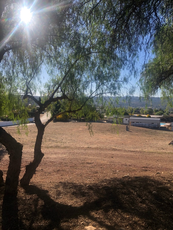 Building Photo - 9874 Chocolate Summit Dr