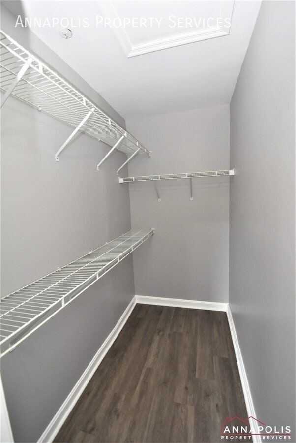 Building Photo - 109 Pinecove Ct