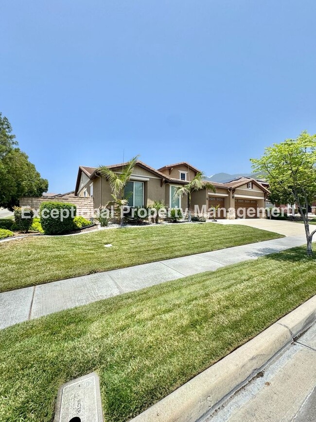 Building Photo - Beautiful 3 bedroom 3 bathroom single stor...
