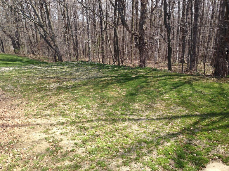 BACKYARD - 8595 Kirsch Rd