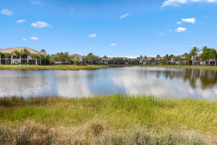 Lake View - 9229 Museo Cir