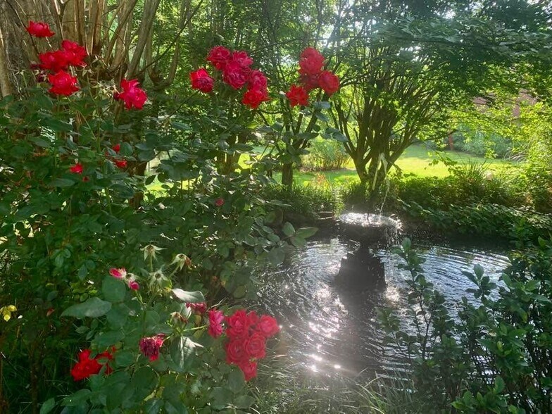 Building Photo - 49 Duke St