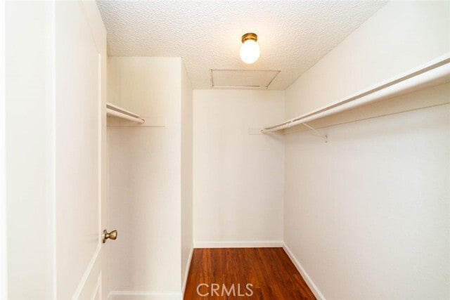 Building Photo - 923 Lombard Ct