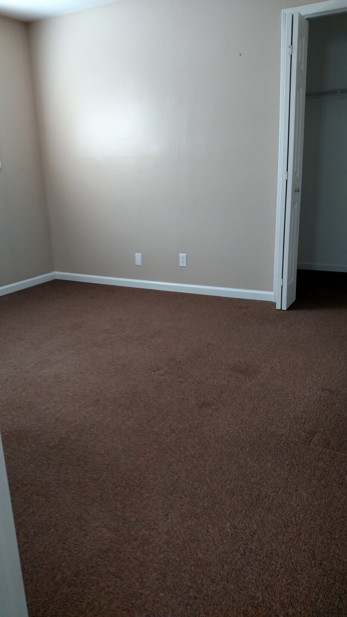 Roomy bedrooms with large closets - 1319 Argo Ln