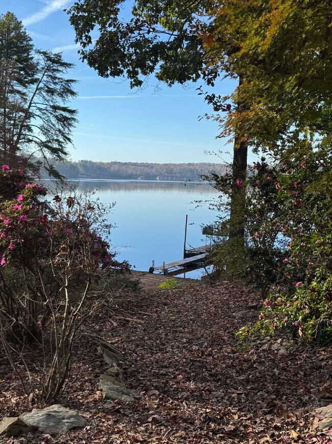 Building Photo - Furnished 1BR Apartment on Lake Lanier - Single Boat Slip Optional