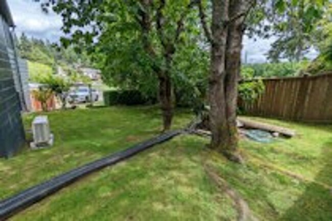 Building Photo - 4bd/2ba House in Fircrest