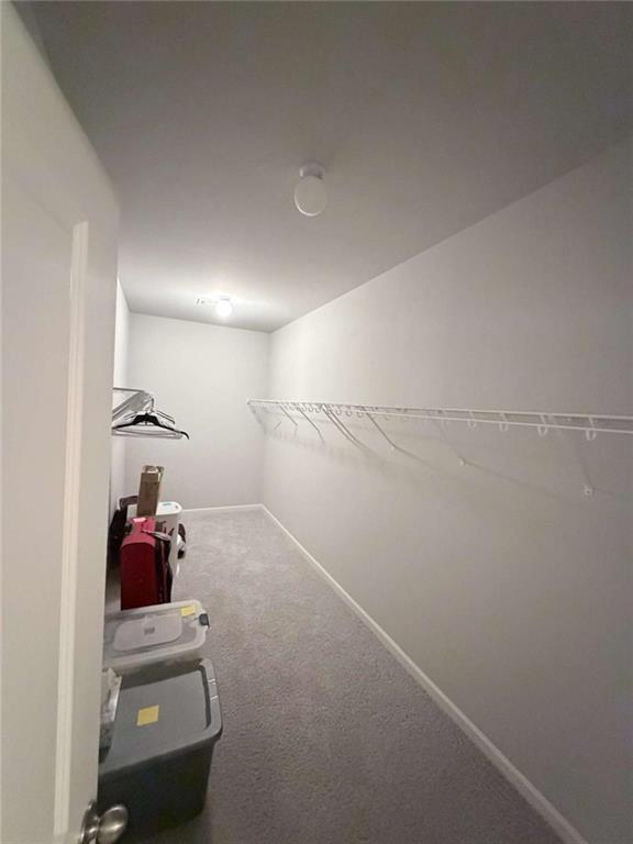 Building Photo - 4411 Rockrose Green Way