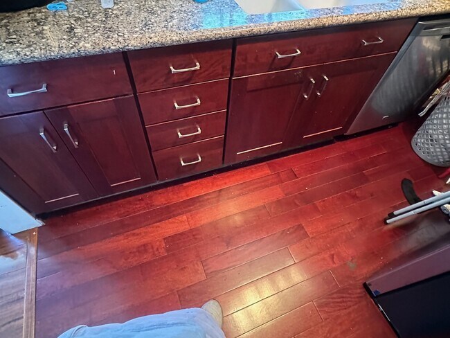 Stunning floor, with Mahogany and granite countertop. - 1857 Pandora Ave