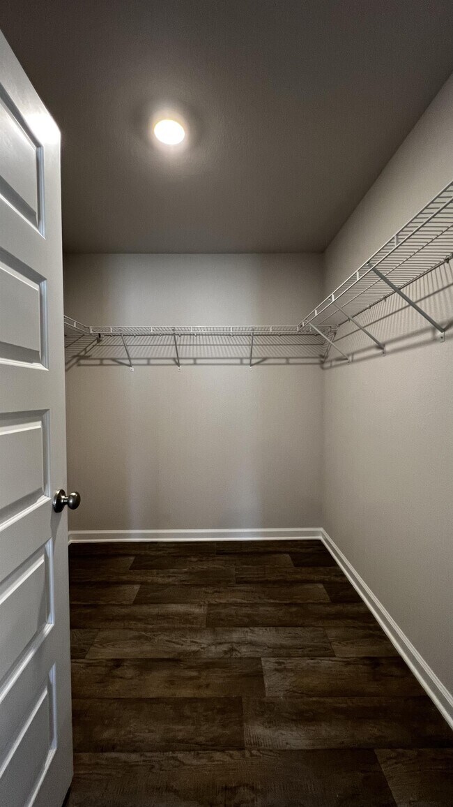 Building Photo - 11186 Elemis Dr