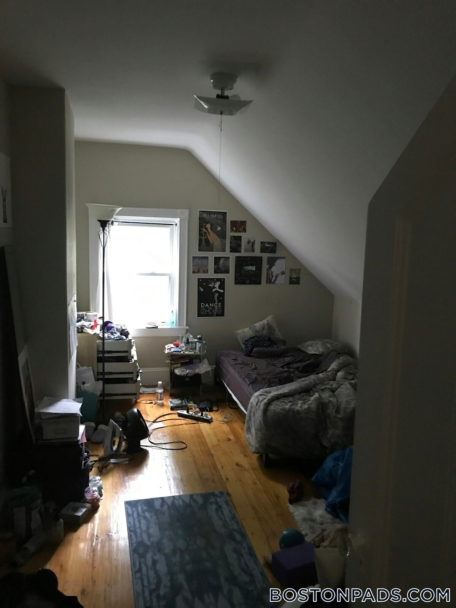 Building Photo - 17 Putnam Ave