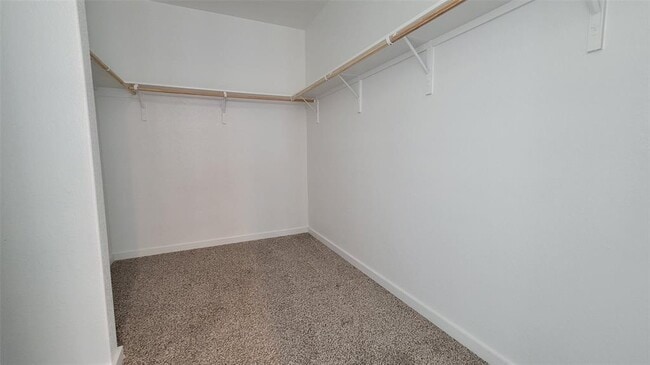 Building Photo - 429 Tinto St