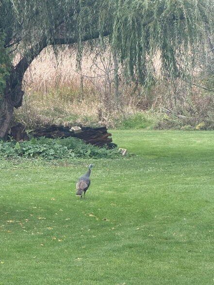 Building Photo - S80W19060 Janesville Rd