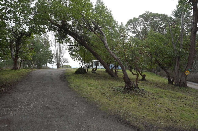 Building Photo - 2 bed 1 bath in a country setting