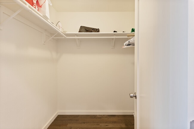 Building Photo - 28258 Rey De Copas Ln