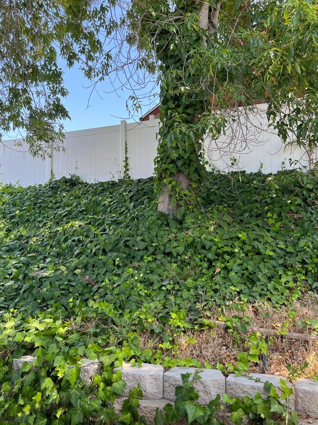 Building Photo - 11449 Almazon St