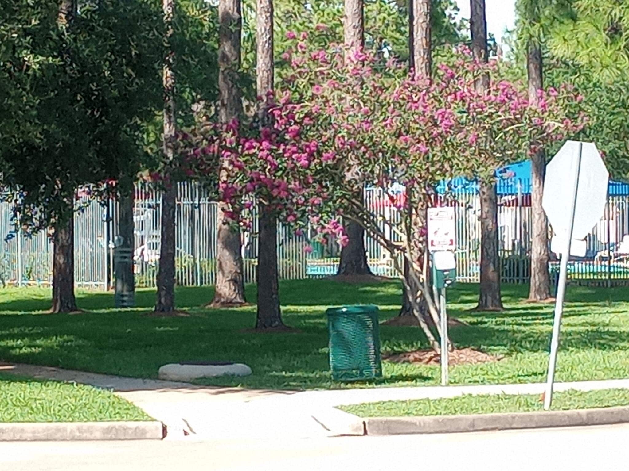 Park with pool a few houses down - 14611 Sun Harbor Dr