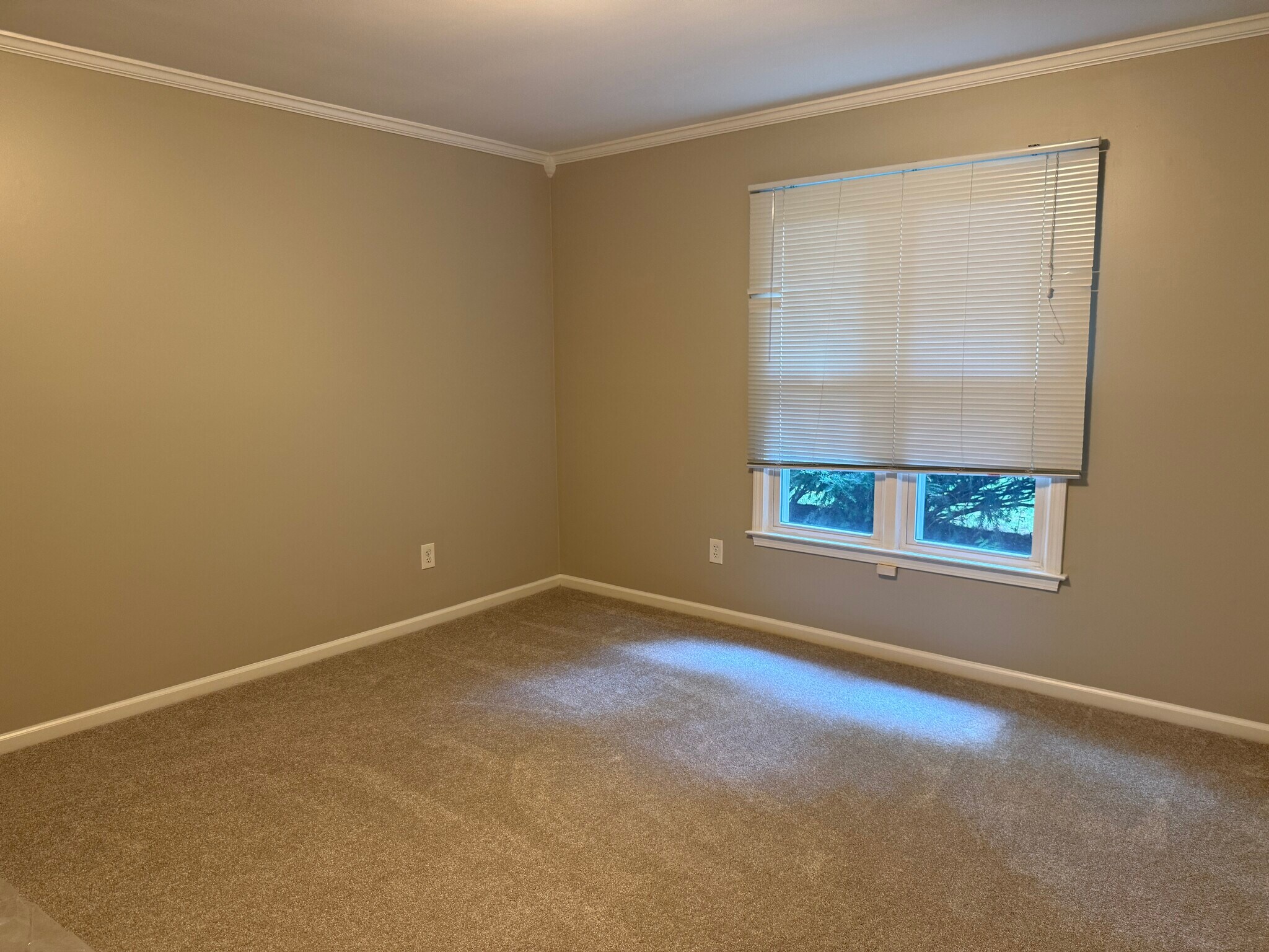 Master Bedroom 13'6" x 13'11". - 226 Hillsboro Pl