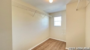 Building Photo - 8818 Summer Trl St