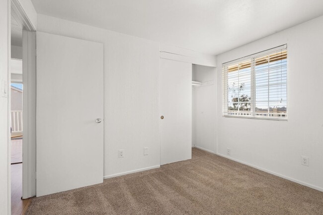Building Photo - 533 Hibiscus Ct