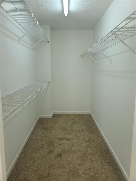 Building Photo - 6105 Pattingham Dr