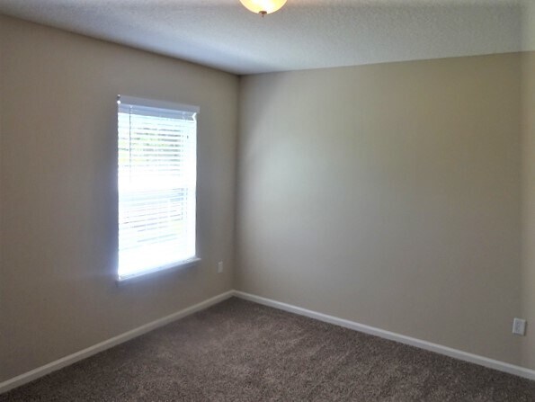 Building Photo - 1633 Timber Crossing Lane
