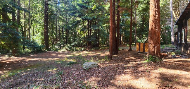 Building Photo - Cabin In the Wood!