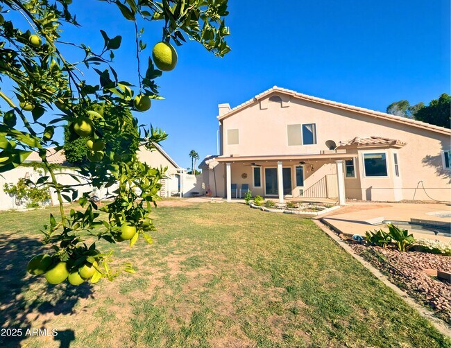 Building Photo - 242 S Sycamore Pl