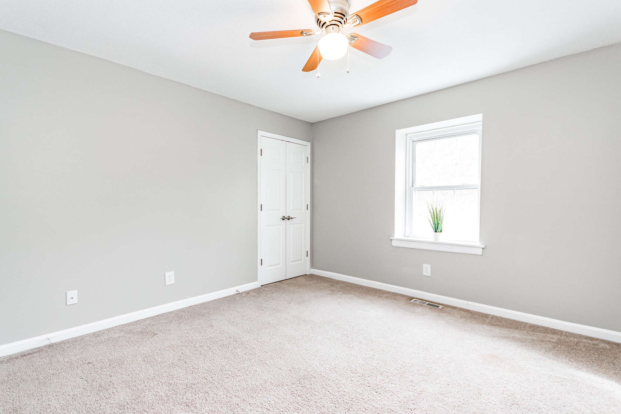 Building Photo - 4704 Blue Bird Court