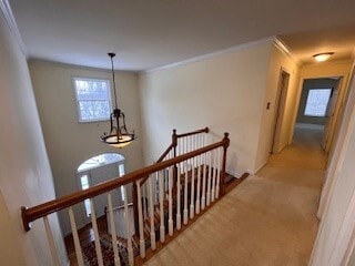 Building Photo - 5842 Tova Cir