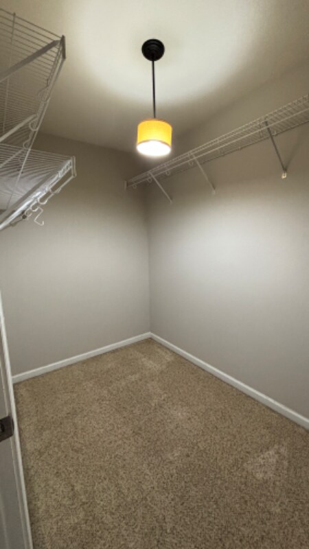 Building Photo - 403 Perrault Dr