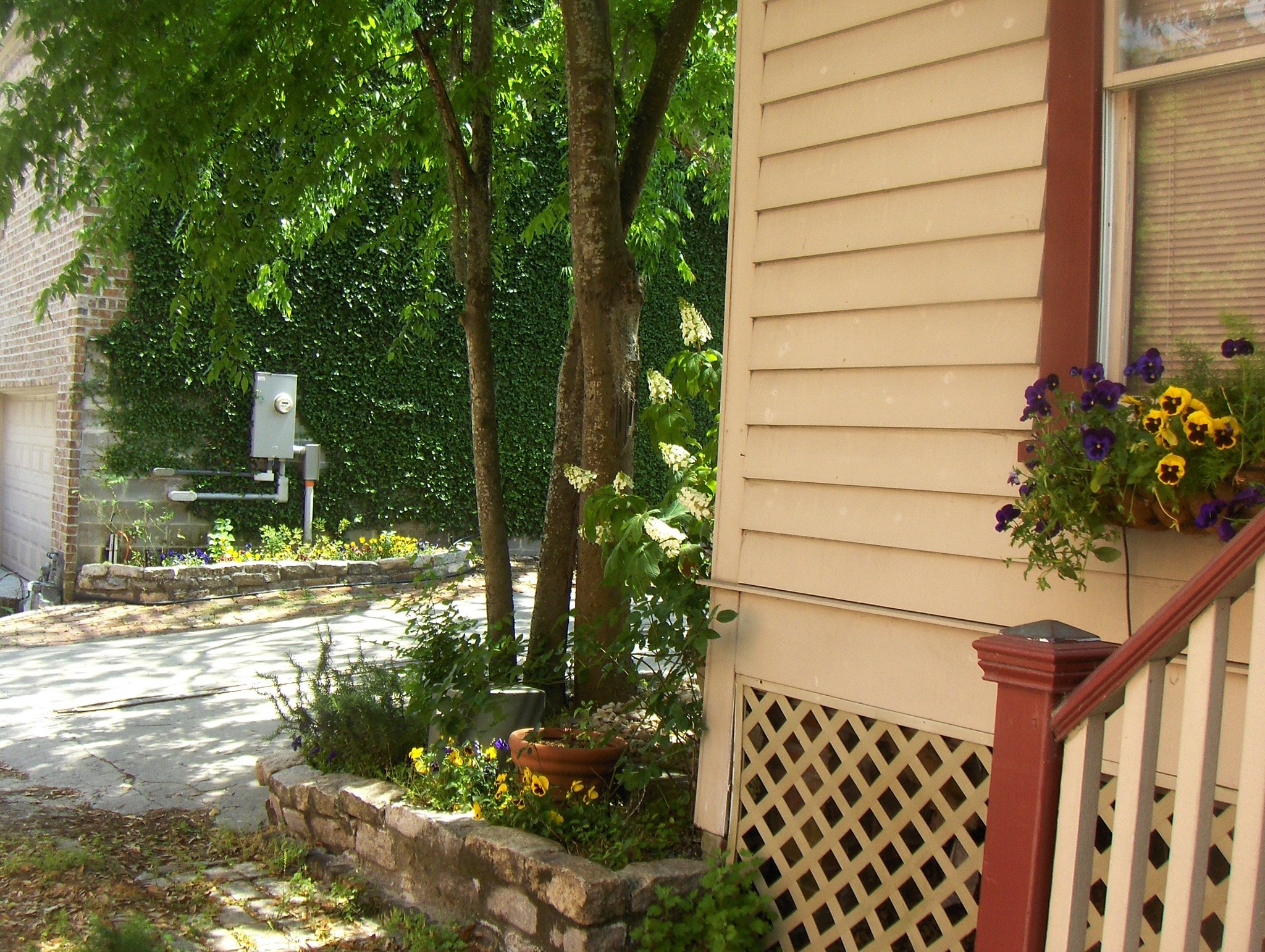 Bricked flower bed and brick front entry - 541 E Jones Ln