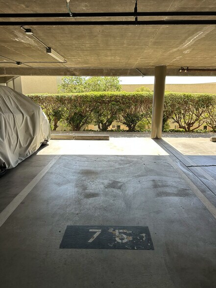 Building Photo - 3200 La Rotonda Dr