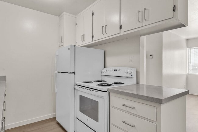 Building Photo - This is a large 2-bdr in a convenient, Freshly painted, updated kitchen counter tops and cabinets
