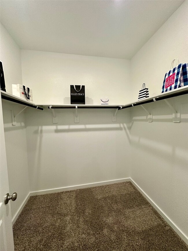 Building Photo - 3121 Moontide Ln