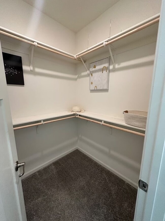 Building Photo - 4 bedroom Campus Oaks Home located on a Co...