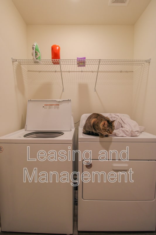 Building Photo - 507 Scarlett Maple St