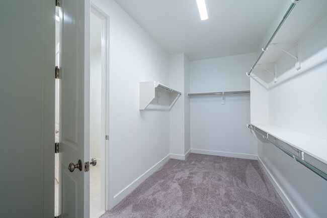 Building Photo - 4706 Llano Lp