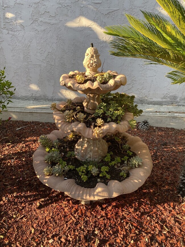 Side yard landscape - 15928 Caminito Aire Puro