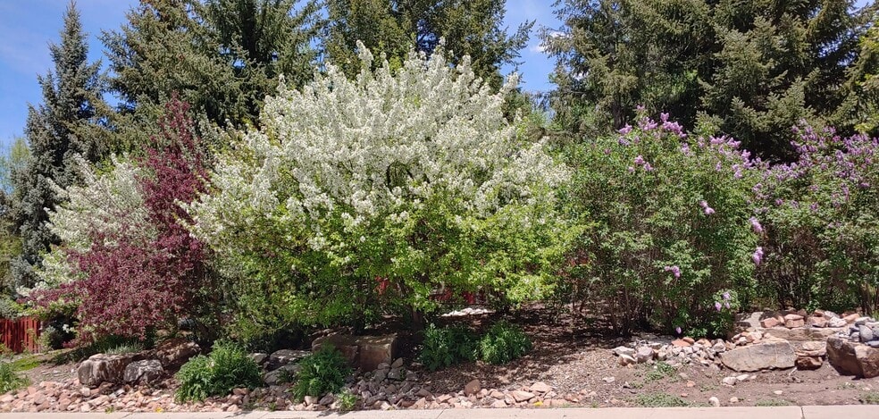 Building Photo - 1468 Willow Loop