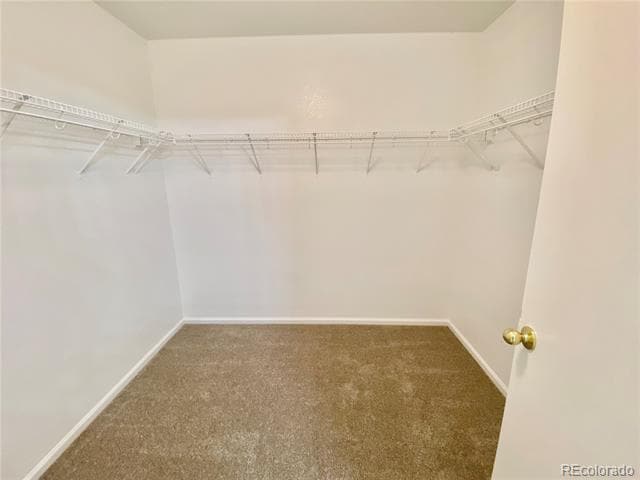 Building Photo - 11853 Bolton Cir