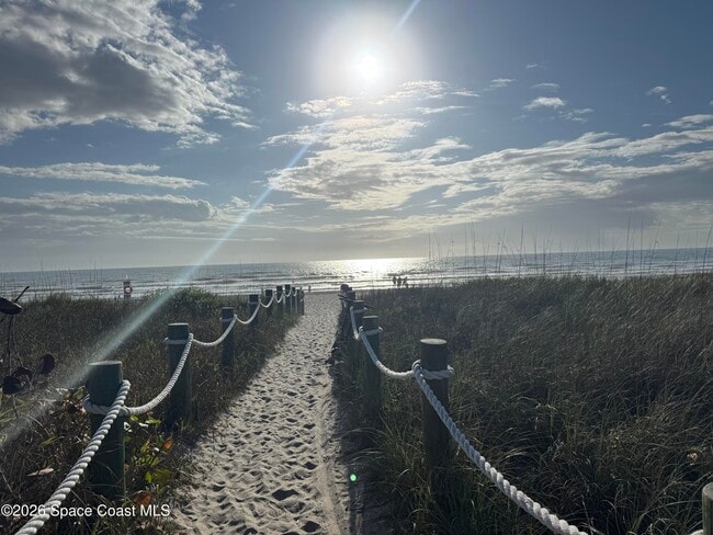 Building Photo - 249 Palm Ln