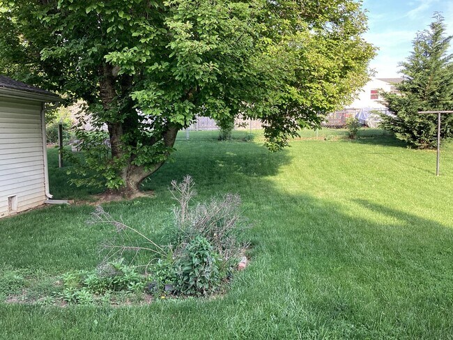 Building Photo - Roomy Updated Home in Established Neighbor...