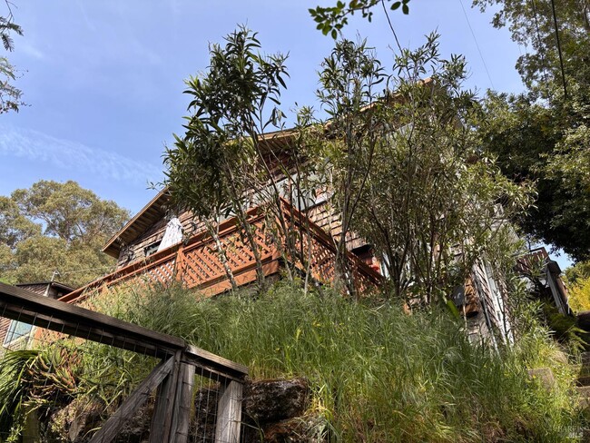 Building Photo - 71 Rocca Dr