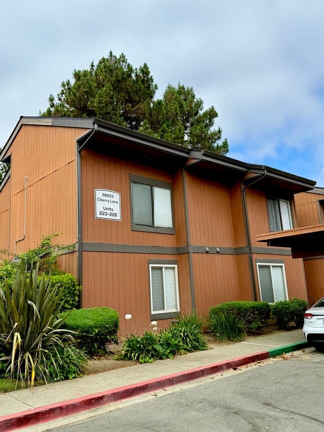 Primary Photo - $3290 - 3 BED/2 BATH CONDO IN CENTRAL FREM...