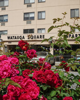 Building Photo - Watauga Square